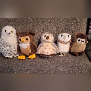 Owl Plush Set Of 5